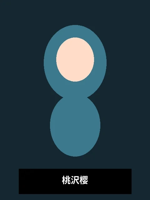 桃沢樱演员个人写真照片